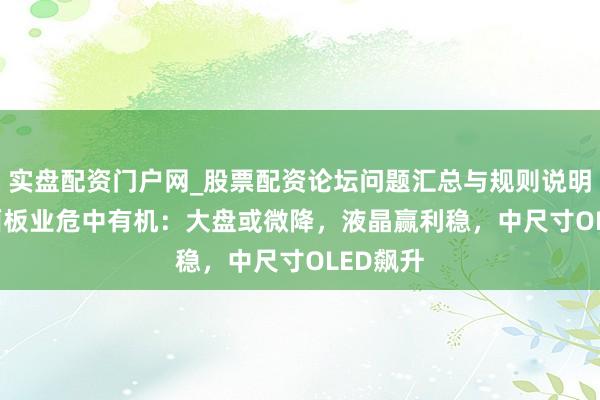 实盘配资门户网_股票配资论坛问题汇总与规则说明 2026面板业危中有机：大盘或微降，液晶赢利稳，中尺寸OLED飙升