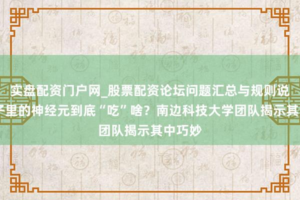 实盘配资门户网_股票配资论坛问题汇总与规则说明 脑子里的神经元到底“吃”啥？南边科技大学团队揭示其中巧妙